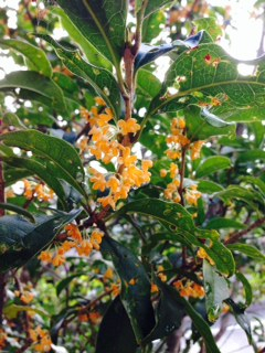 Photo_3