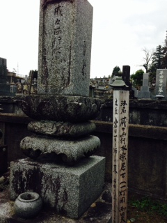 Photo_3