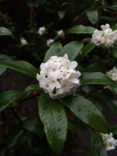 Photo Photo