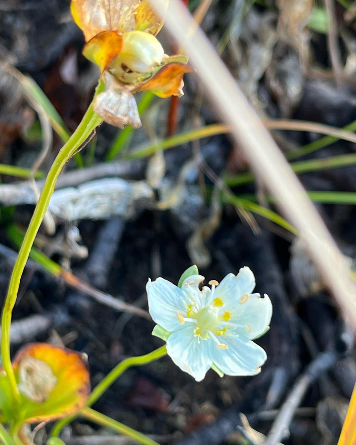 2b0d3517638b45519c4da68f741b268c