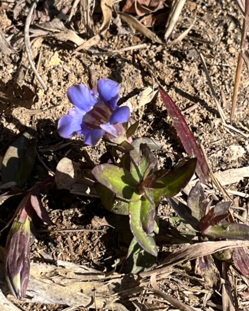 94ed04e587344babb6765ccd43571a52