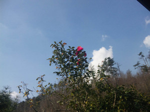 120417