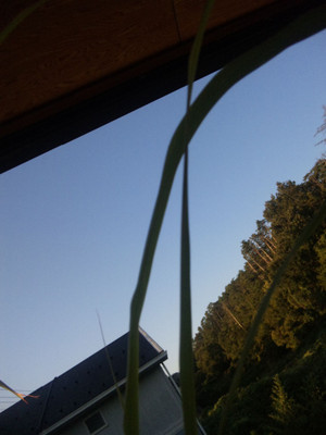 12092