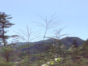 2013916