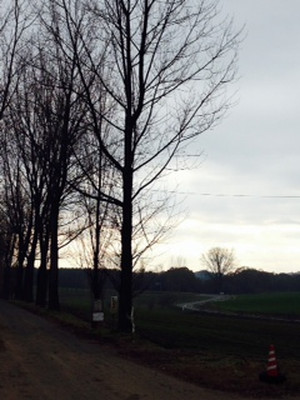 Photo_4