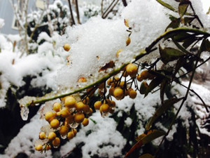 Photo_2
