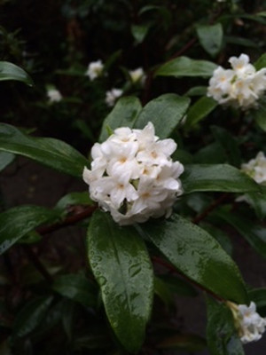 Photo Photo