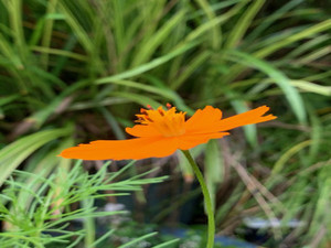 Img_1957