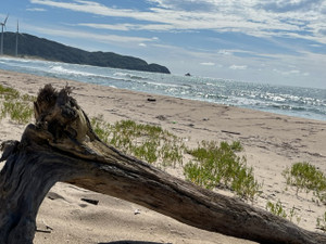 Img_5383 Img_5383